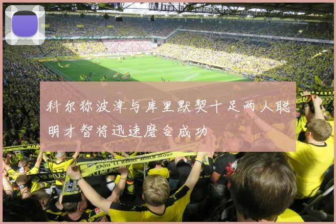 科尔称波津与库里默契十足两人聪明才智将迅速磨合成功