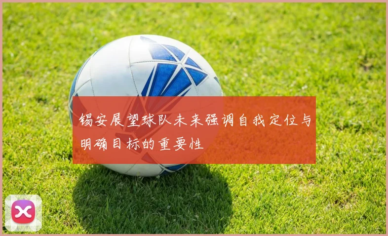 锡安展望球队未来强调自我定位与明确目标的重要性